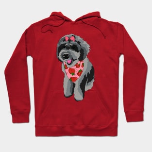 Schnoodle Hoodie